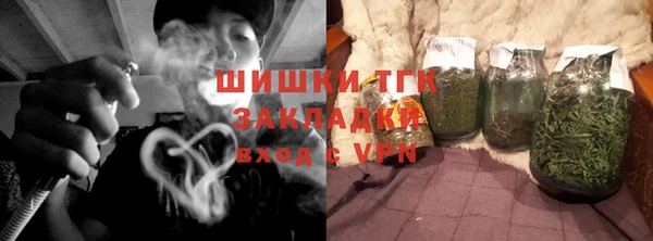 Альфа ПВП Ельня