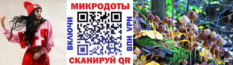 Галлюциногенные грибы GOLDEN TEACHER  Купить  Краснокаменск 
